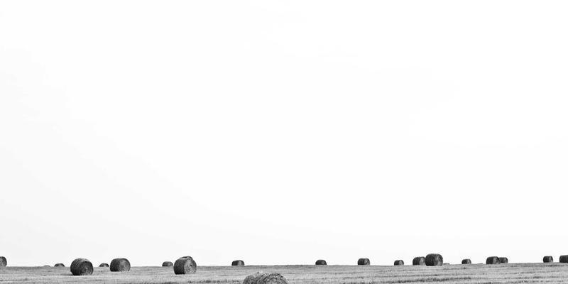 佛山新能源汽车配件供应链新格局:原厂配件与未来主义汽修如何重塑行业生态