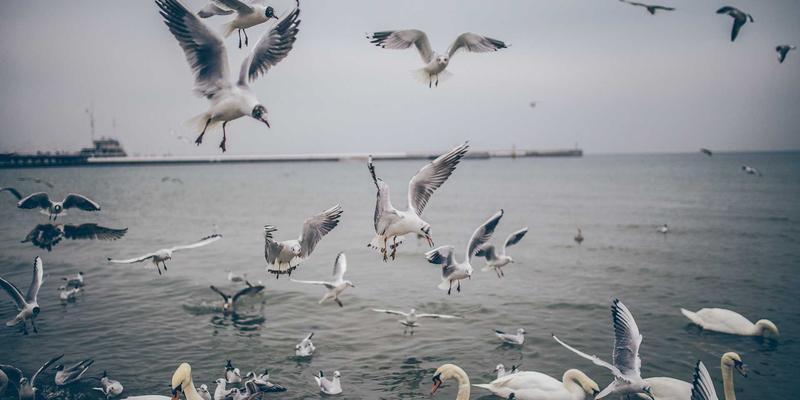 佛山车主必读：发动机配件维修指南，选对原厂件为何如此重要？