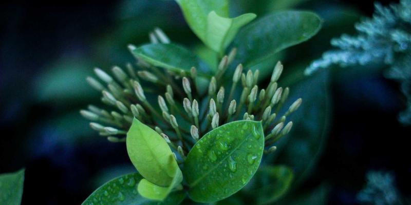 佛山车主必读：汽车座椅配件选购避坑指南，原厂件与未来主义汽修如何选？